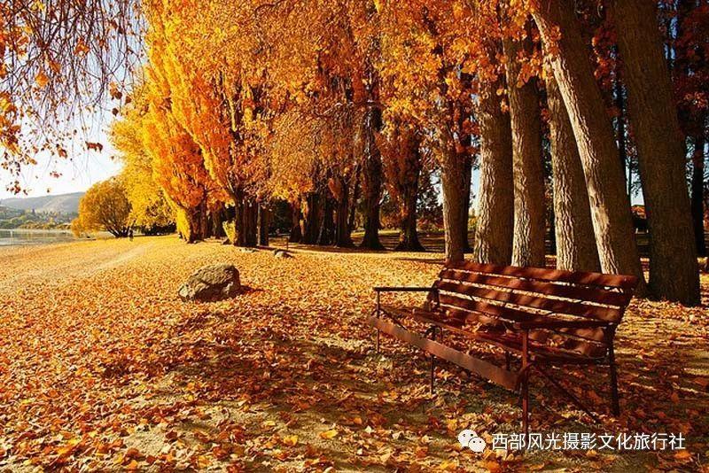 纳斯达克100ETF(159659)尾盘溢价0.24%为同类最低水平,成交额再创上市新高,盘中持续获资金大额申购!