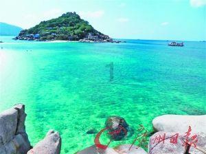 临海,“熊出没”