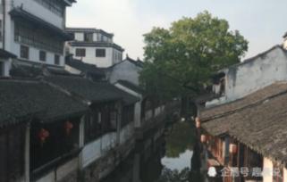 可爱兔子营救